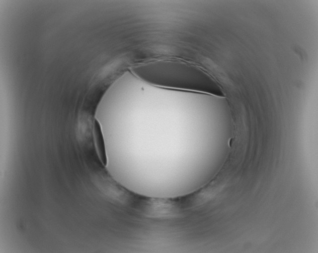 X0000114230528200910091331