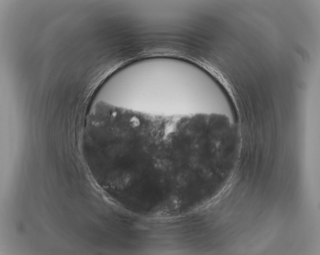 X0000114230529200910091330