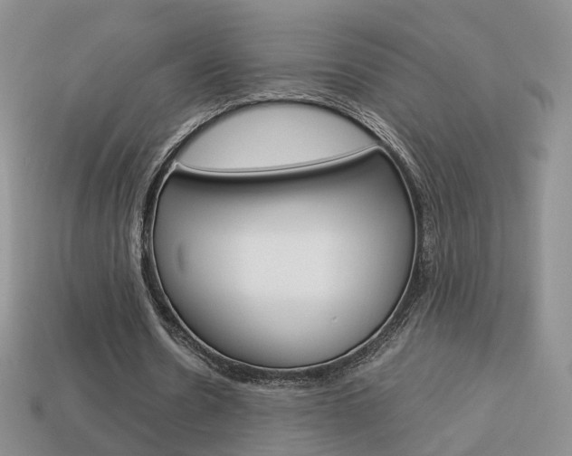 X0000114230530200910091330