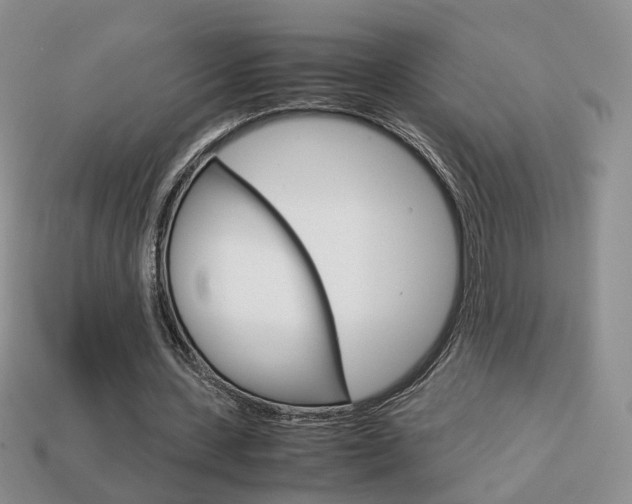 X0000114230531200910091330
