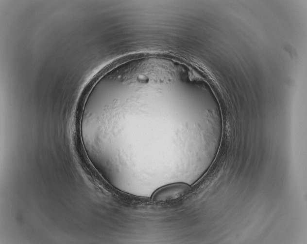 X0000114230532200910091330