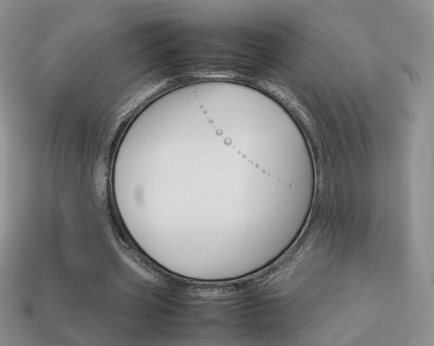 X0000114230533200910091330