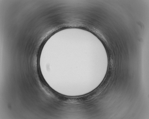 X0000114230534200910091330