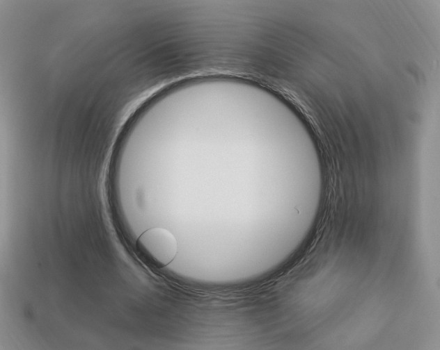 X0000114230536200910091330