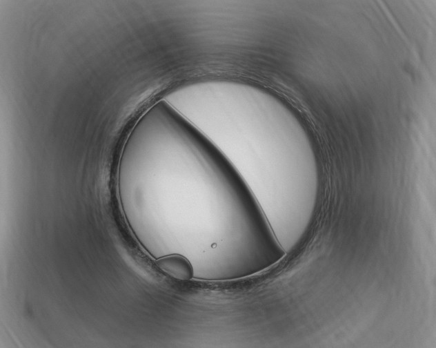 X0000114230538200910091330