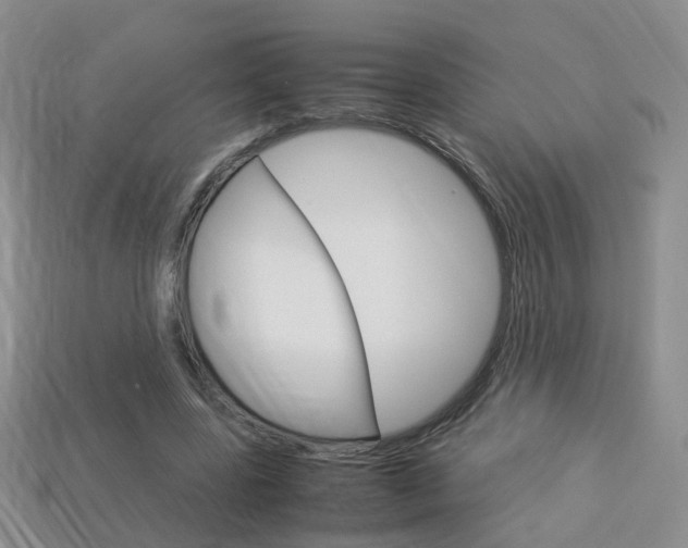 X0000114230539200910091330