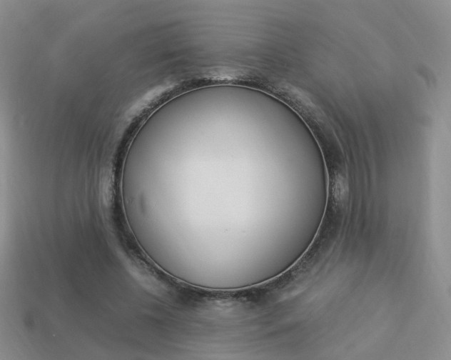 X0000114230540200910091330