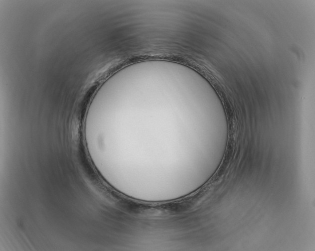 X0000114230542200910091330