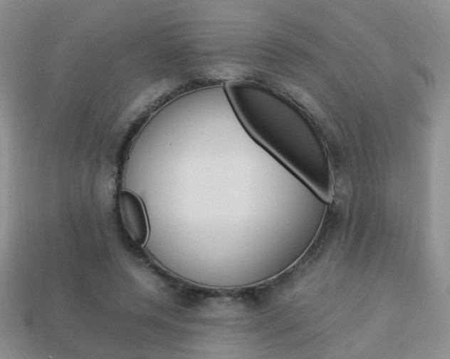 X0000114230544200910091330