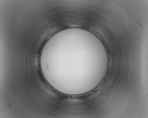 X0000114230545200910091330