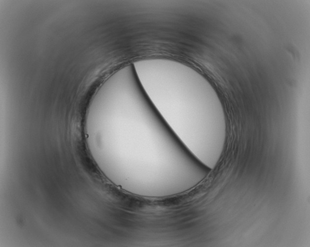 X0000114230547200910091330