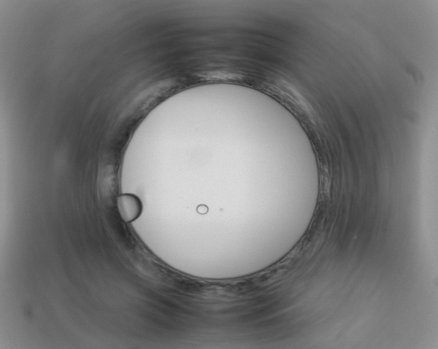 X0000114230549200910091330