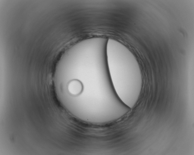 X0000114230555200910091330