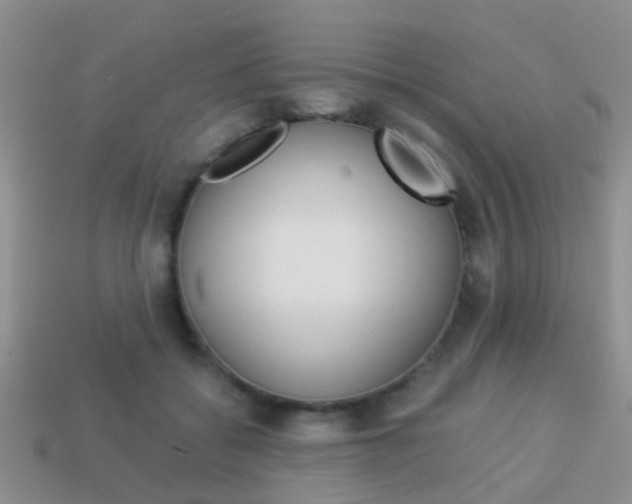 X0000114230556200910091330