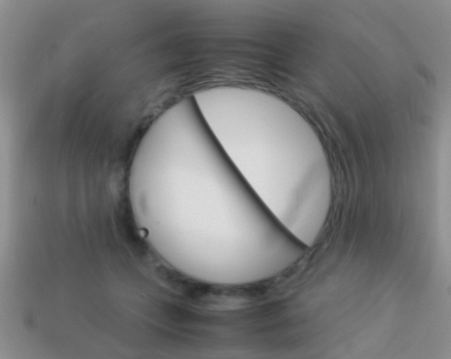 X0000114230559200910091330