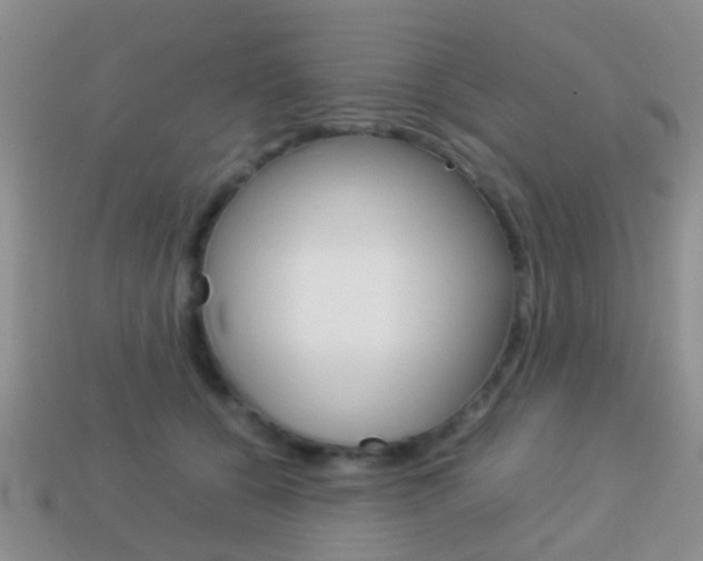 X0000114230560200910091330