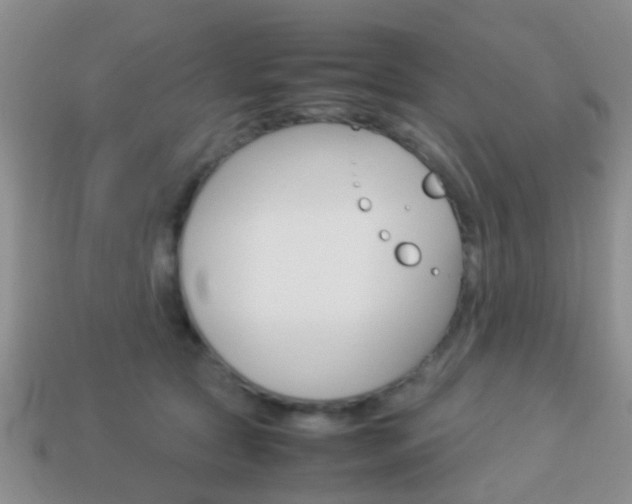 X0000114230561200910091330