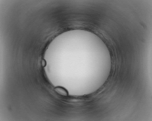 X0000114230563200910091330