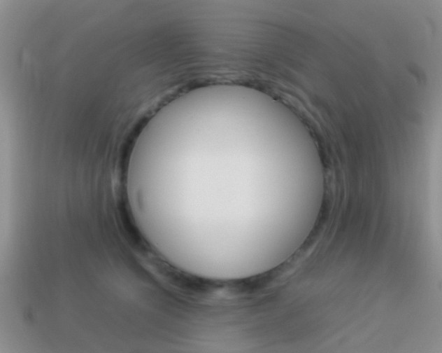 X0000114230564200910091330