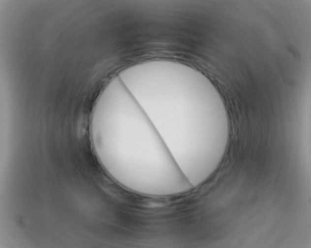 X0000114230567200910091330