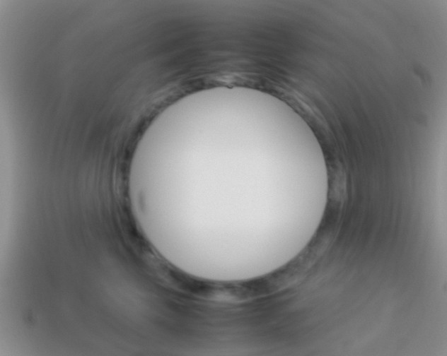 X0000114230569200910091330