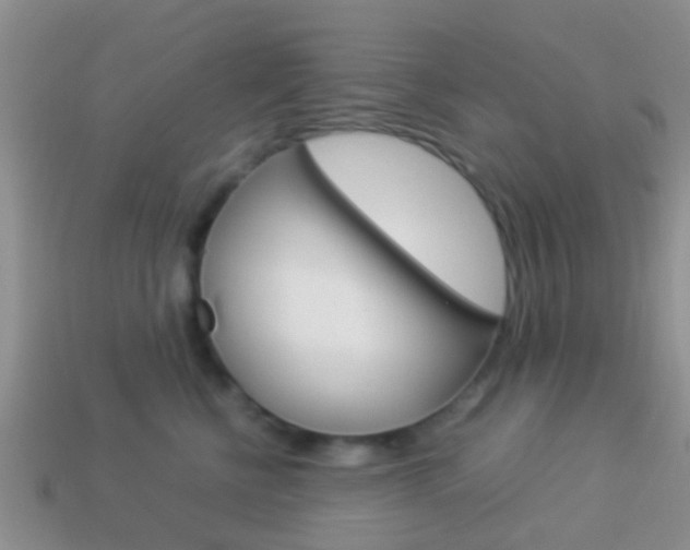 X0000114230570200910091330