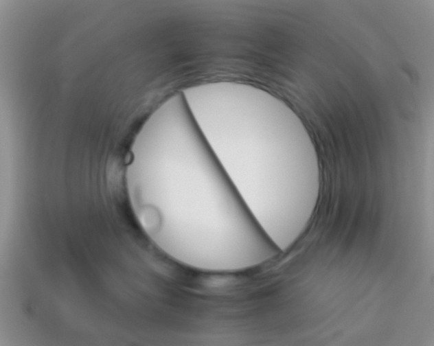 X0000114230575200910091330