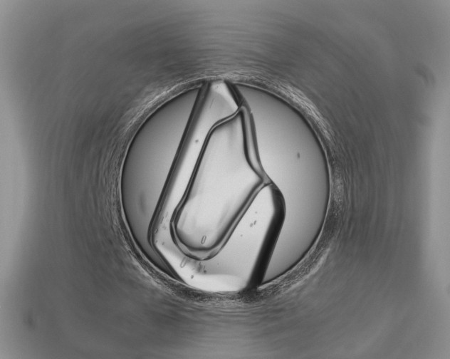 X0000114230577200910091330