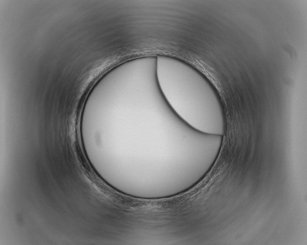 X0000114230578200910091330