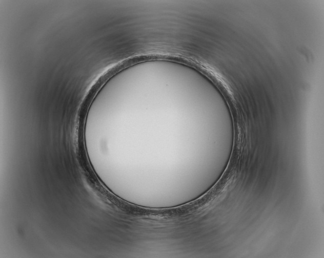X0000114230580200910091330