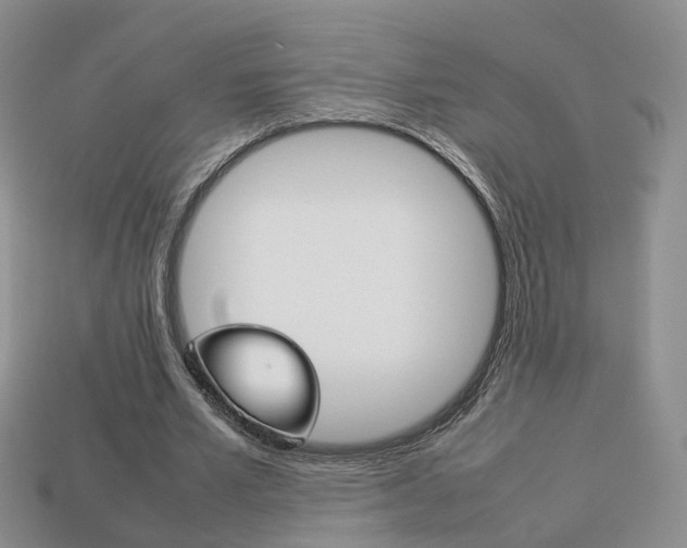 X0000114230581200910091330