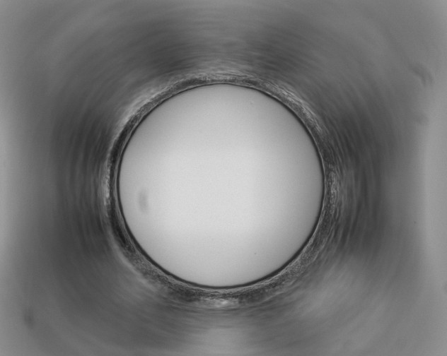 X0000114230582200910091330