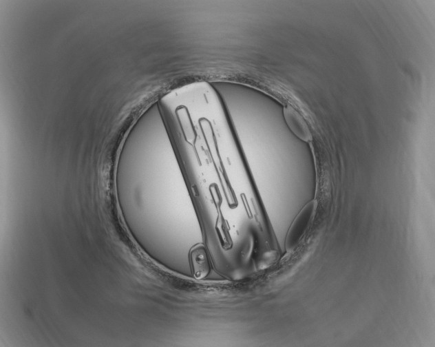 X0000114230585200910091330