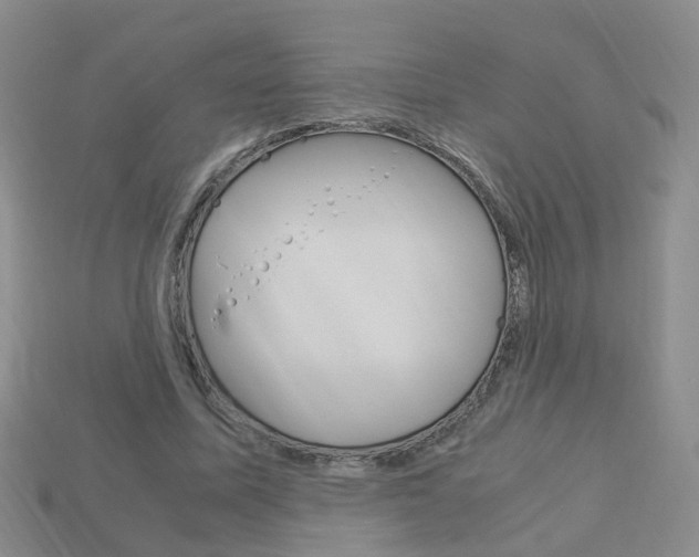 X0000114230587200910091330