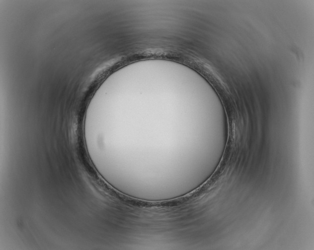 X0000114230588200910091330