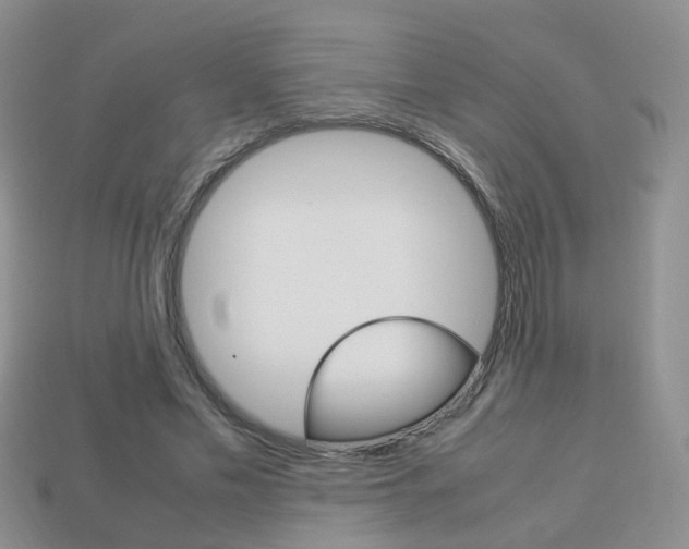 X0000114230589200910091330