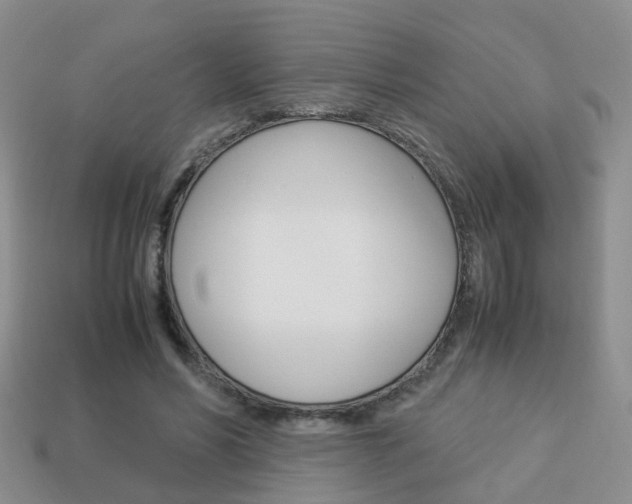 X0000114230590200910091330