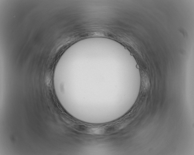 X0000114230595200910091330
