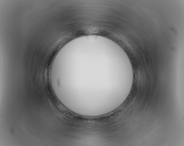 X0000114230598200910091330