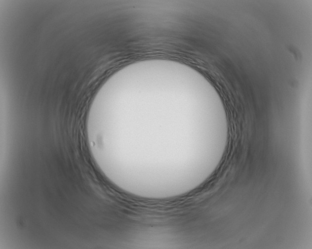 X0000114230599200910091330