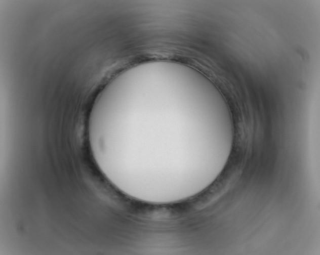 X0000114230600200910091330