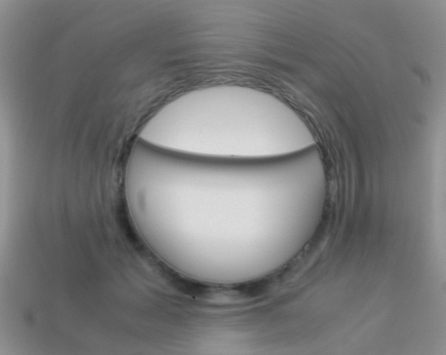 X0000114230605200910091330