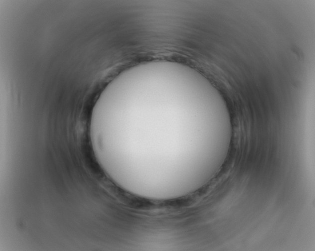 X0000114230608200910091329