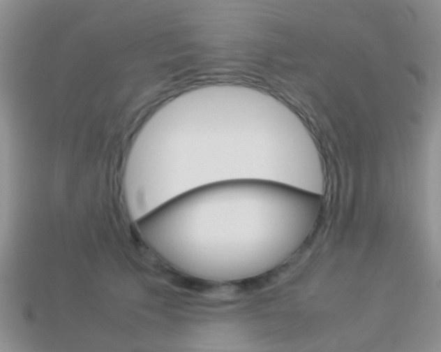 X0000114230609200910091329