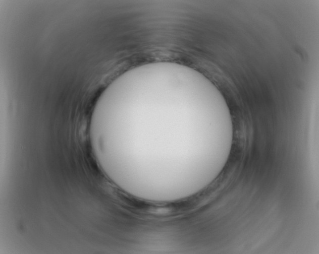X0000114230610200910091329