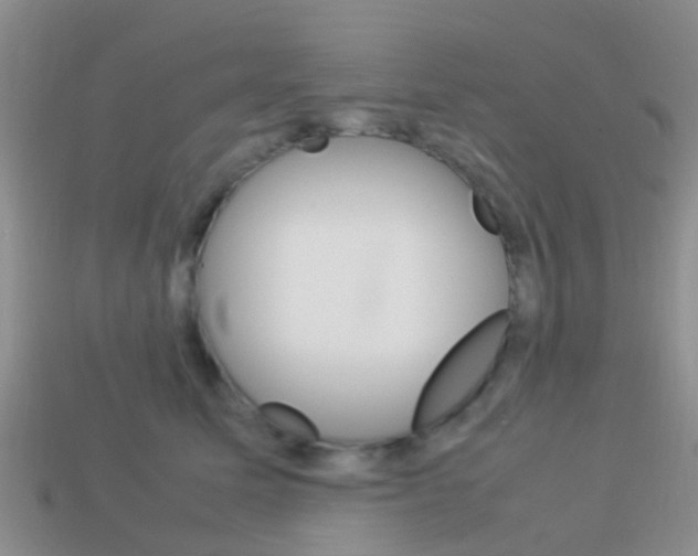 X0000114230611200910091329