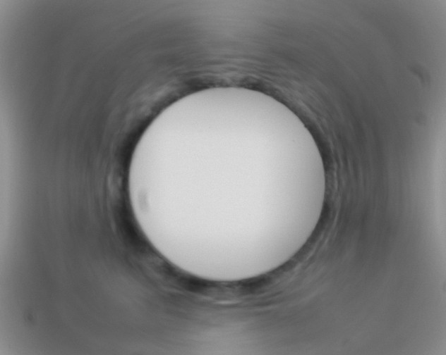 X0000114230615200910091329