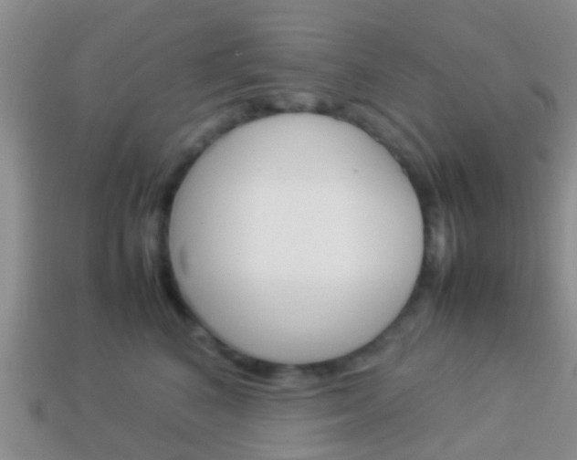 X0000114230616200910091329
