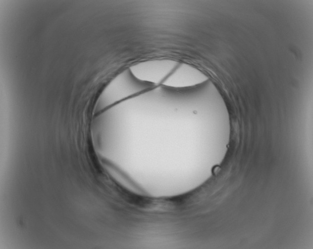X0000114230617200910091329