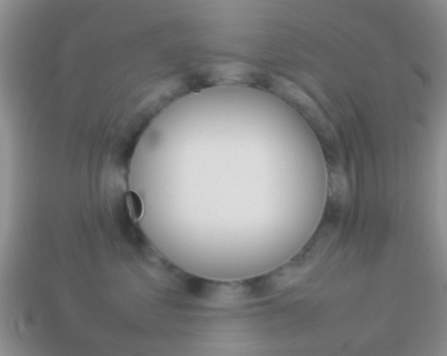 X0000114230621200910091329